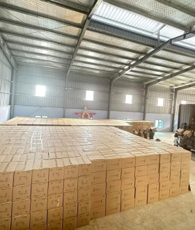 Xưởng sản xuất hộp đựng trái cây Jadebox