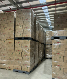 Xưởng sản xuất hộp nhựa đựng nho Jadebox