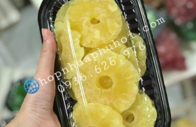 Hộp nhựa JB17 - 1 ngăn JadeBox