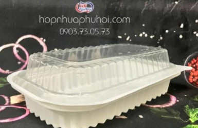 Hộp nhựa trắng HT17 1 ngăn