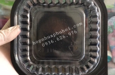Hộp nhựa đựng thức ăn 1 ngăn HT12
