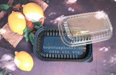Hộp nhựa đựng thực phẩm dùng 1 lần HT17