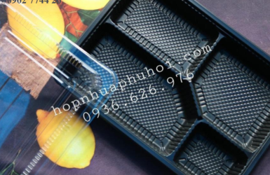 Hộp nhựa HT25 – 4 ngăn