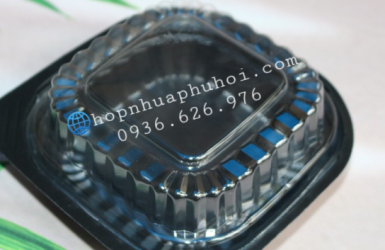 Mua hộp nhựa 1 ngăn HT12 tại TP HCM