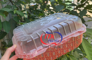 Mua hộp nhựa đựng gà, vịt ở đâu giá rẻ