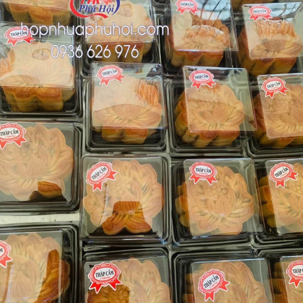  Hộp nhựa vuông đựng xôi 12