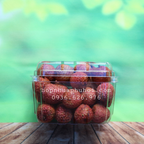 HỘP NHỰA ĐỰNG TRÁI CÂY 0,5KG P500D