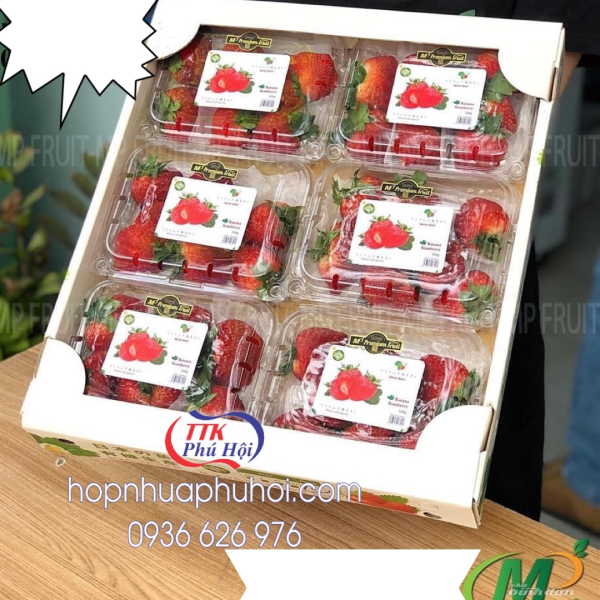 Hộp nhựa đựng nấm P500CX