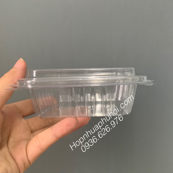 Hộp nhựa đựng rong nho P150B