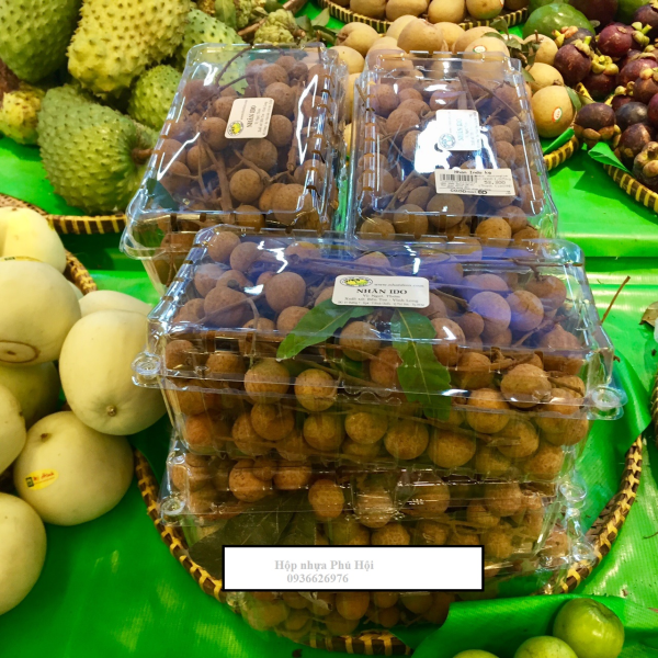HỘP NHỰA ĐỰNG TRÁI CÂY 1KG P1000A