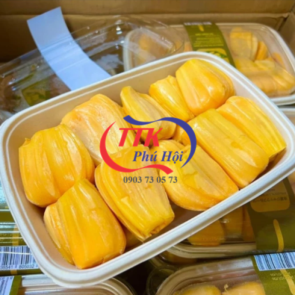 Hộp bã mía nắp trong đựng sầu riêng