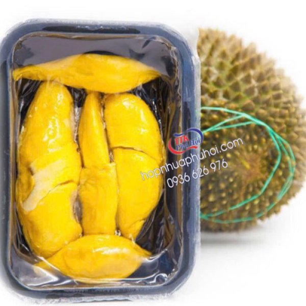 Hộp đựng sầu riêng mang đi