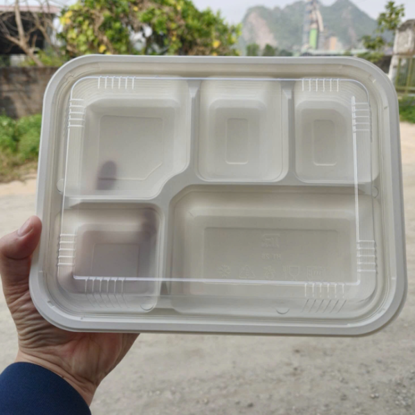 Hộp nhựa 5 ngăn trắng PHT5