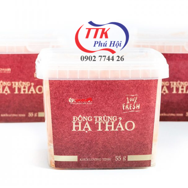 Hộp nhựa đựng đông trùng hạ thảo khô, tươi