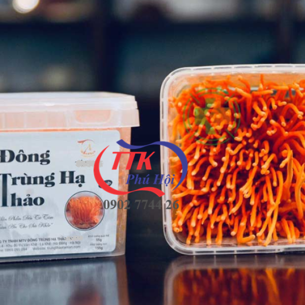 Hộp nhựa đựng đông trùng hạ thảo khô, tươi