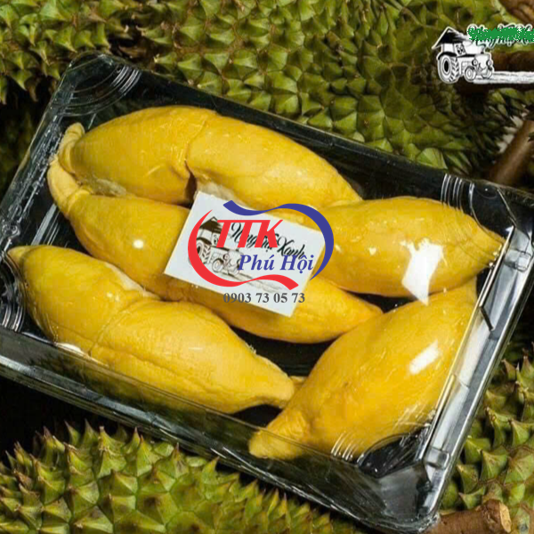 Hộp nhựa đựng sầu riêng