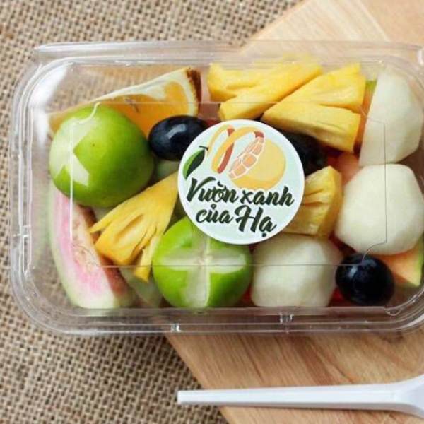 HỘP NHỰA ĐỰNG TRÁI CÂY P350A