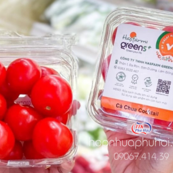 HỘP NHỰA TRÁI CÂY P250A 250G