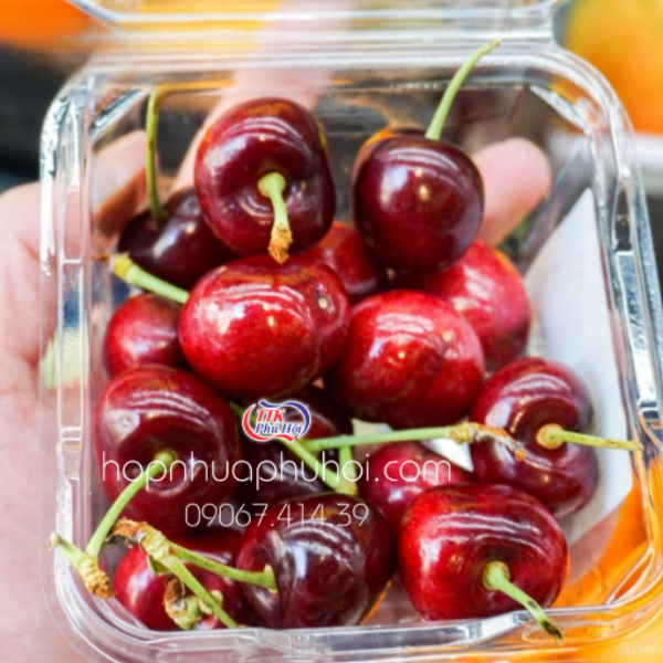 HỘP NHỰA TRÁI CÂY P250A 250G