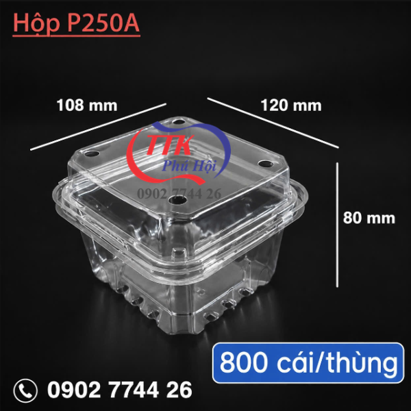 HỘP NHỰA TRÁI CÂY P250A 250G