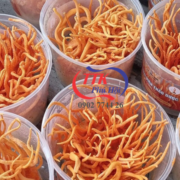 Hộp nhựa tròn đựng đông trùng hạ thảo