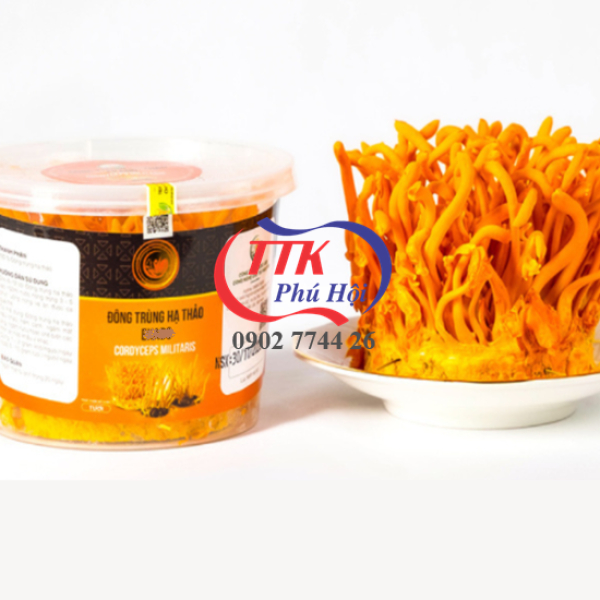 Hộp nhựa tròn nuôi đông trùng hạ thảo