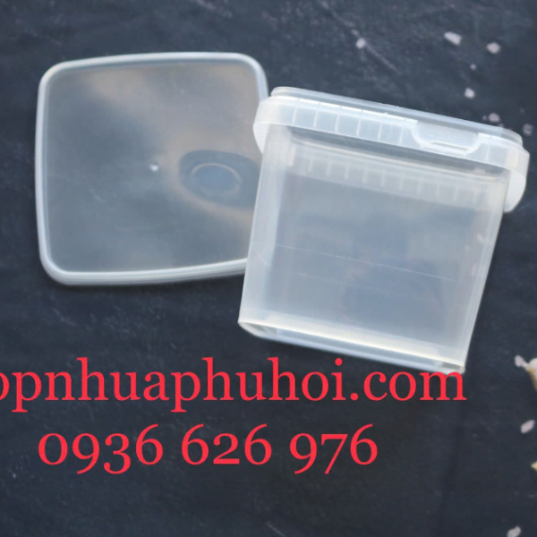 Hộp nhựa trong đựng đông trùng hạ thảo