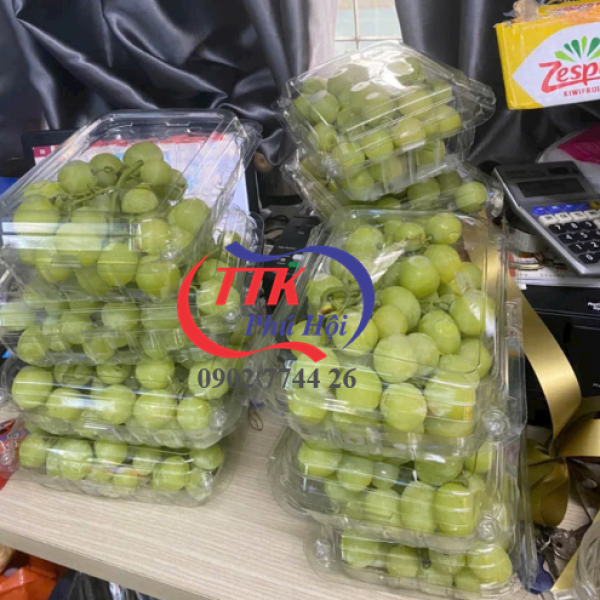 Hộp nhựa trong đựng sầu riêng