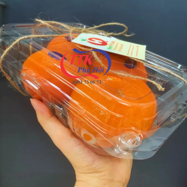 Hộp nhựa trong nắp liền đựng sầu riêng
