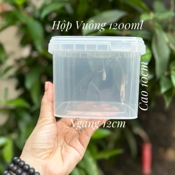 Hộp nhựa trưng bày đông trùng