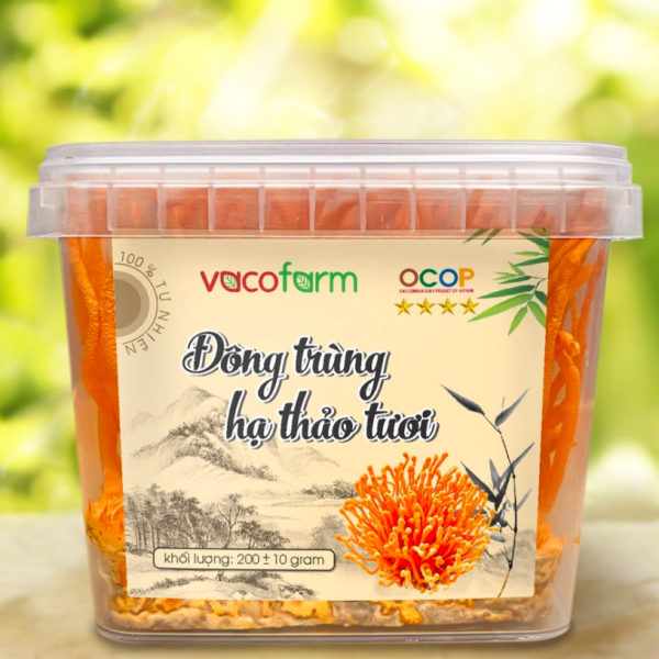 Hộp nhựa trưng bày đông trùng