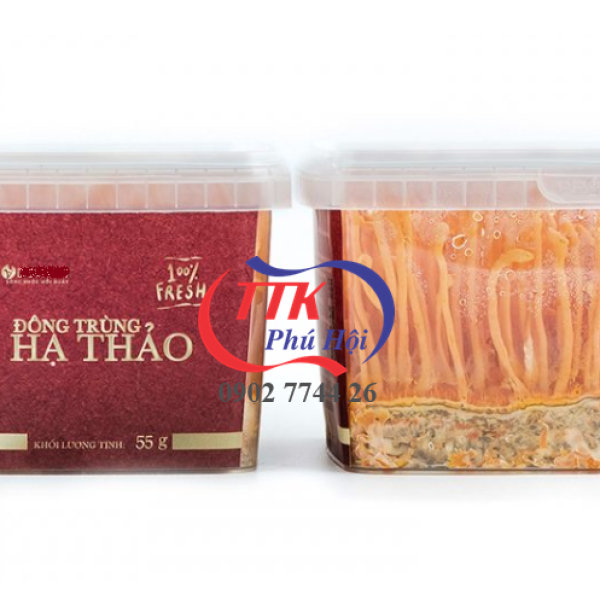 Hộp nhựa vuông trồng đông trùng hạ thảo