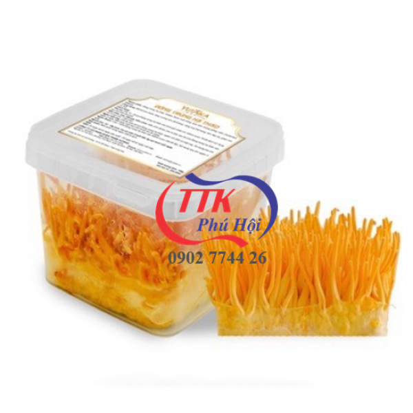 Hộp nhựa vuông trồng đông trùng hạ thảo