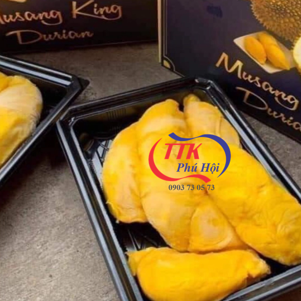 Khay đế đen đựng sầu riêng