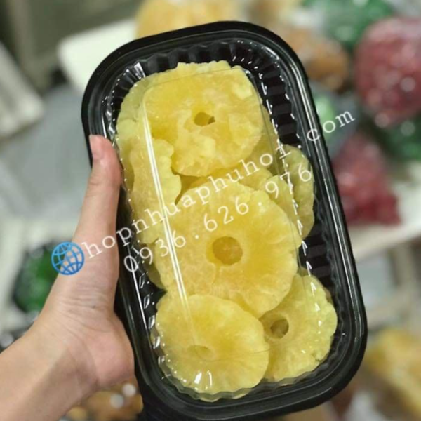 Khay nhựa đựng cơm 1 ngăn JBHT17