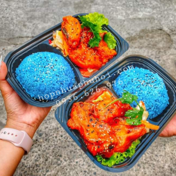 Khay nhựa đựng cơm 2 ngăn đều