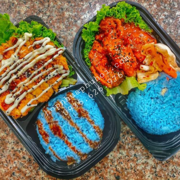 Khay nhựa đựng cơm 2 ngăn đều