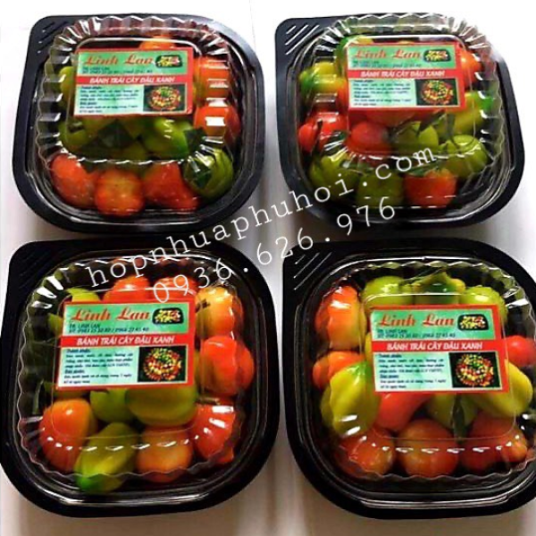 Khay nhựa đựng thực phẩm 1 ngăn JBHT12