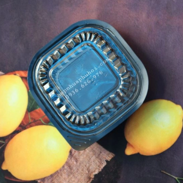 Khay nhựa đựng thực phẩm 1 ngăn JBHT12