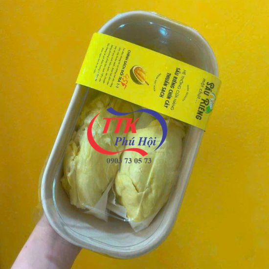 Hộp bã mía đựng sầu riêng