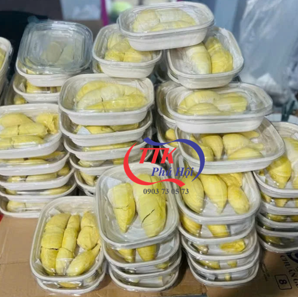 Hộp bã mía nắp trong đựng sầu riêng