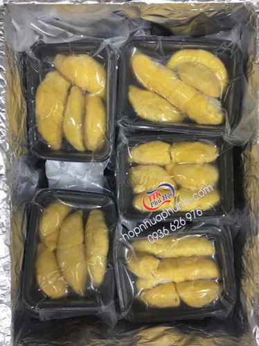 hộp đựng sầu riêng mang đi