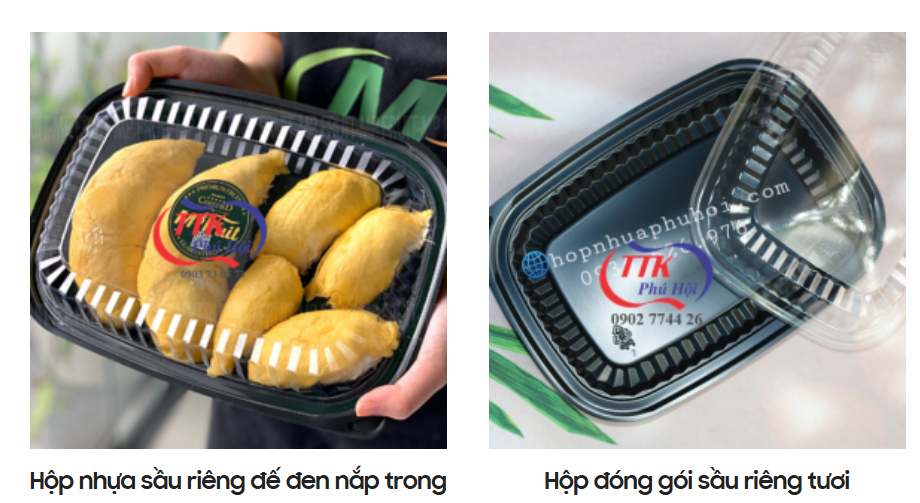 Hộp đựng thực phẩm