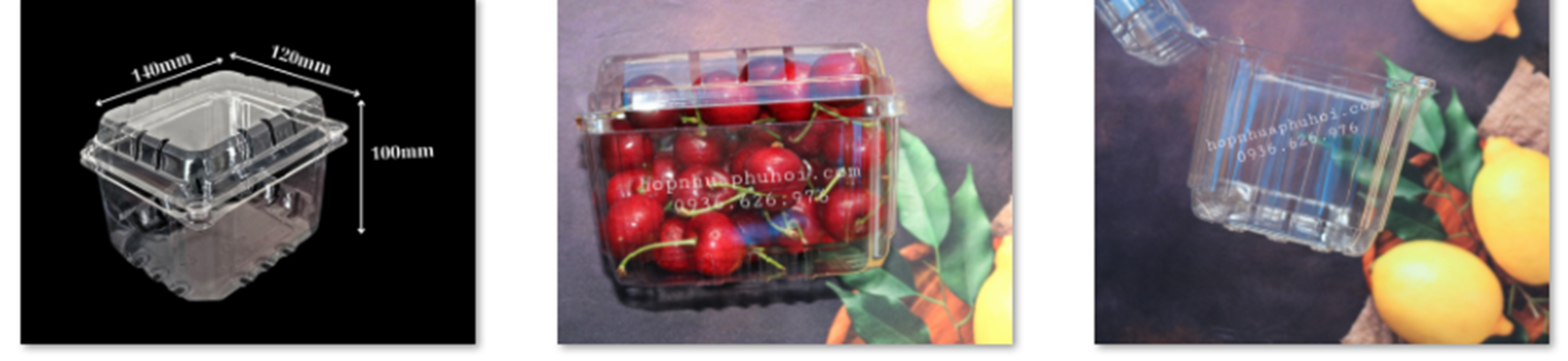 Hộp đựng trái cây