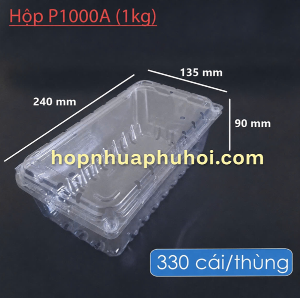 Hộp đựng trái cây 1kg P1000A tại TP HCM