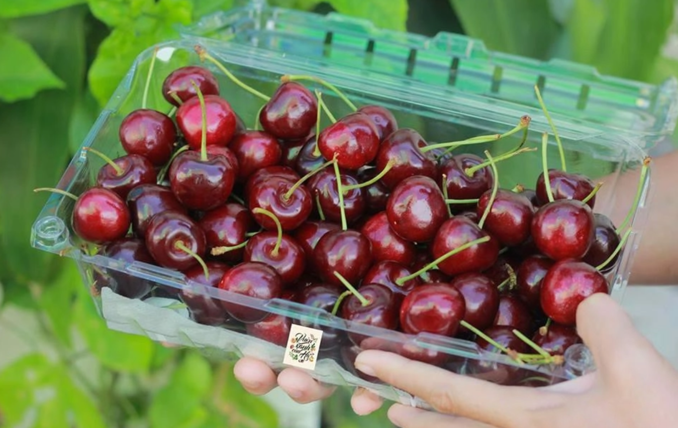 Hộp đựng trái cây 1kg P1000A tại TP HCM