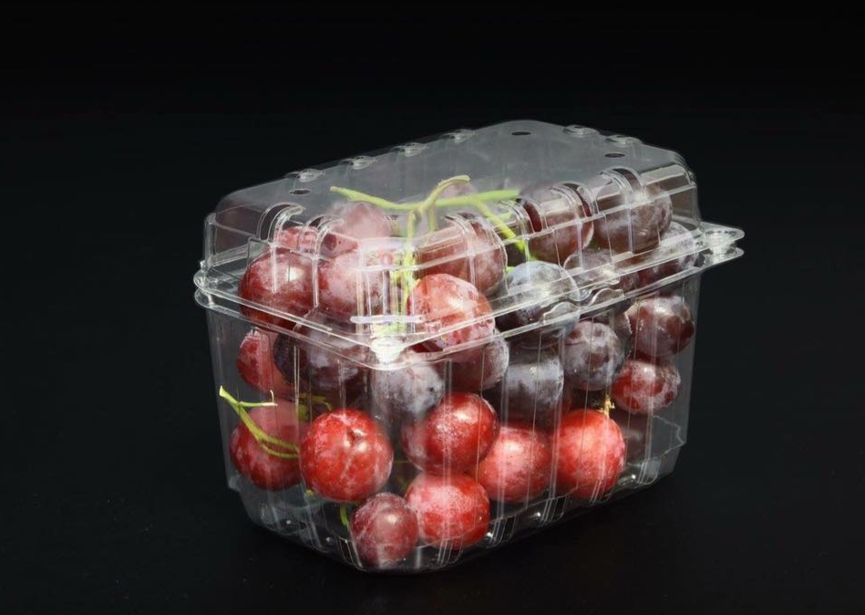 Hộp đựng trái cây 1kg tại tp HCM
