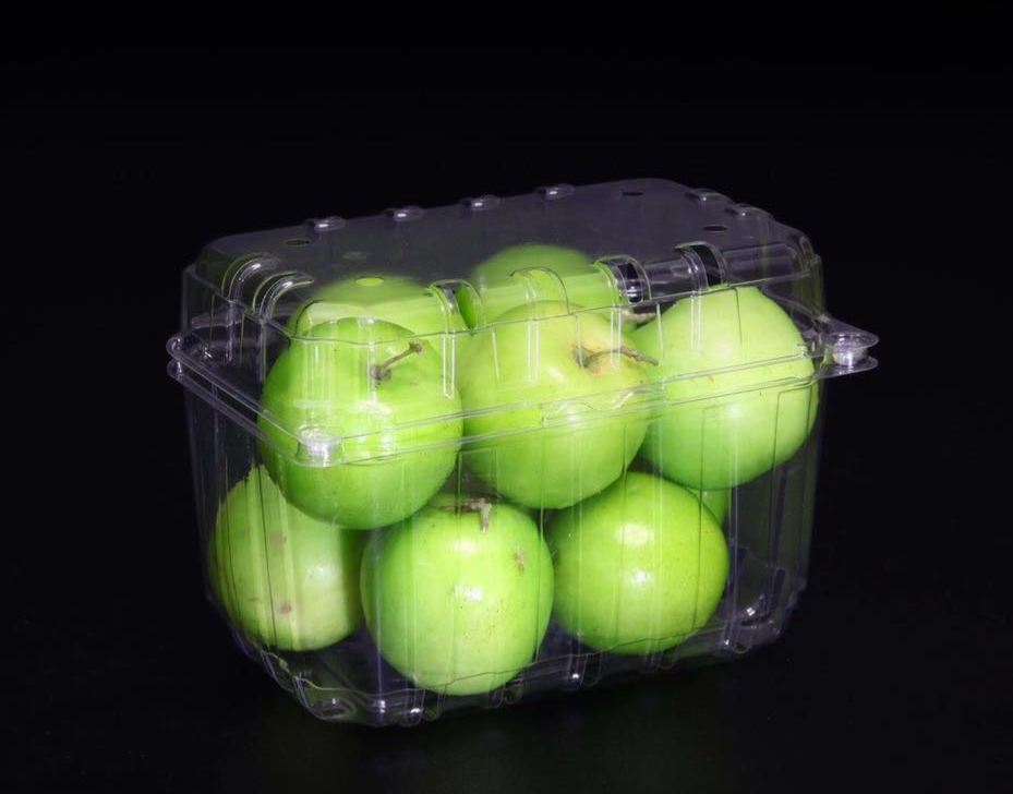 Hộp đựng trái cây 1kg tại tp HCM