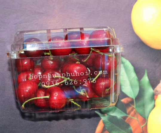 Hộp đựng trái cây 1kg tại tp HCM