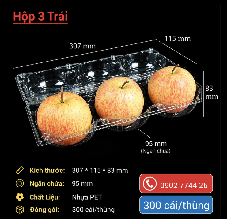 Hộp đựng trái cây 3 trái táo cam nhỏ, quýt lớn